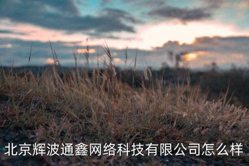 北京輝波通鑫網(wǎng)絡(luò)科技有限公司怎么樣