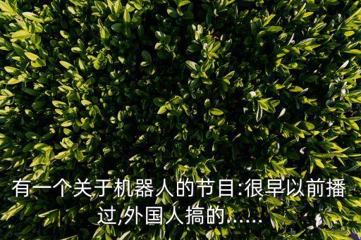 有一個(gè)關(guān)于機(jī)器人的節(jié)目:很早以前播過(guò),外國(guó)人搞的……