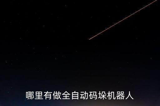 哪里有做全自動碼垛機器人