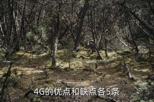 4G的優(yōu)點和缺點各5條