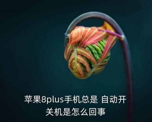 蘋果8移動(dòng)數(shù)據(jù)自動(dòng)關(guān)機(jī),蘋果手機(jī)設(shè)置自動(dòng)關(guān)機(jī)怎么設(shè)置