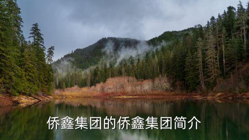 僑鑫集團(tuán)的僑鑫集團(tuán)簡介
