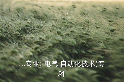 ...專業(yè): 電氣 自動化技術(shù)(?？? class=