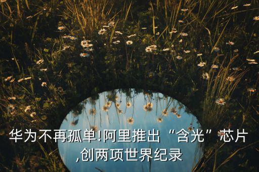 華為不再孤單!阿里推出“含光”芯片,創(chuàng)兩項(xiàng)世界紀(jì)錄