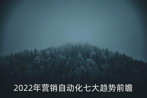 2022年營銷自動化七大趨勢前瞻