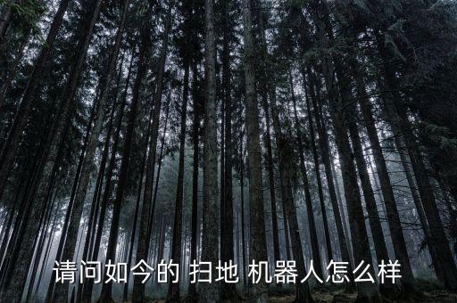 請問如今的 掃地 機器人怎么樣