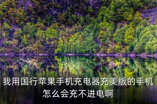我用國行蘋果手機充電器充美版的手機怎么會充不進電啊