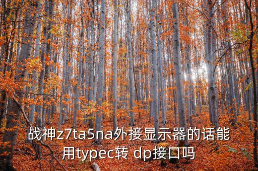 戰(zhàn)神z7ta5na外接顯示器的話能用typec轉(zhuǎn) dp接口嗎