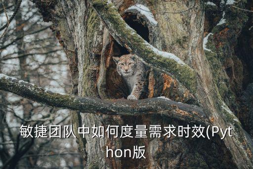 敏捷團(tuán)隊中如何度量需求時效(Python版