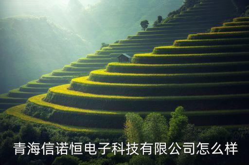  青海信諾恒電子科技有限公司怎么樣