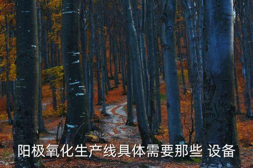 陽極氧化生產(chǎn)線具體需要那些 設(shè)備