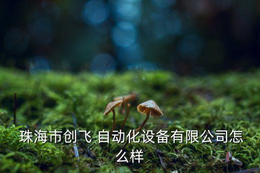  珠海市創(chuàng)飛 自動化設備有限公司怎么樣