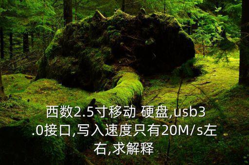 西數(shù)移動硬盤數(shù)據(jù)線