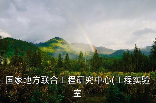 國(guó)家地方聯(lián)合工程研究中心(工程實(shí)驗(yàn)室