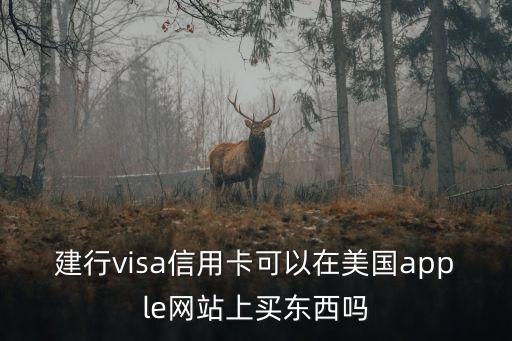 建行visa信用卡可以在美國apple網(wǎng)站上買東西嗎