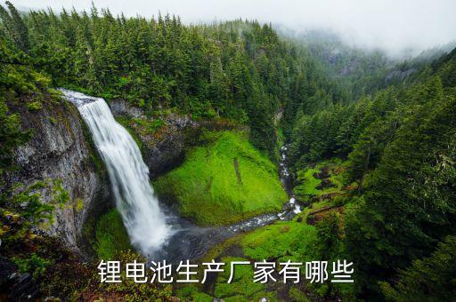 鋰電池生產(chǎn)廠家有哪些