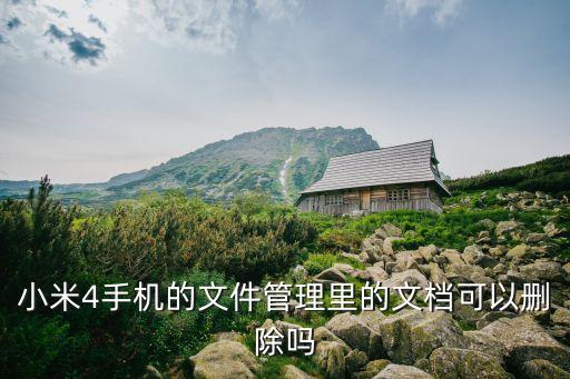 小米4手機的文件管理里的文檔可以刪除嗎