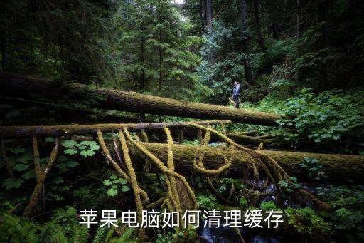 mac怎么清除所有數(shù)據(jù),怎么刪除所有數(shù)據(jù)?電腦怎么清除?