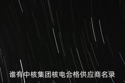 誰有中核集團(tuán)核電合格供應(yīng)商名錄