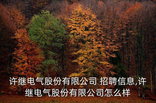 許繼電氣股份有限公司 招聘信息,許繼電氣股份有限公司怎么樣