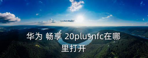 暢享20plus