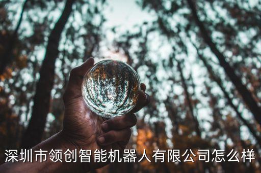 東莞領(lǐng)創(chuàng)自動(dòng)化設(shè)備,深圳市領(lǐng)創(chuàng)自動(dòng)化技術(shù)有限公司怎么樣?