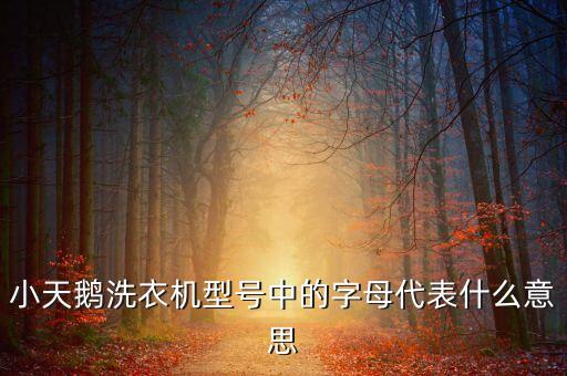 小天鵝洗衣機型號中的字母代表什么意思