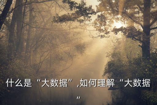 什么是“大數(shù)據(jù)”,如何理解“大數(shù)據(jù)”