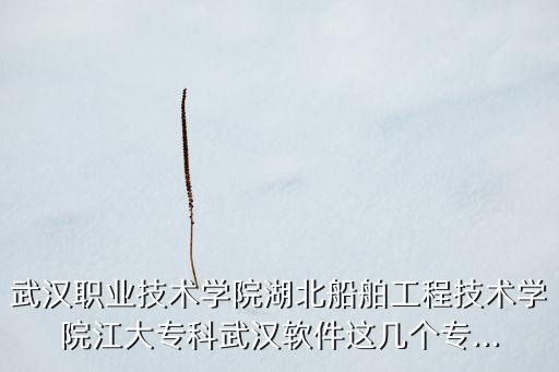 武漢職業(yè)技術學院湖北船舶工程技術學院江大?？莆錆h軟件這幾個專...