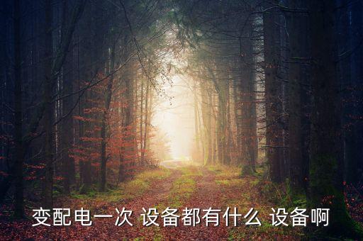 變配電一次 設備都有什么 設備啊