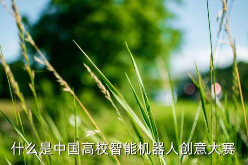 機(jī)器人大獎(jiǎng)賽,機(jī)器人挑戰(zhàn)賽:哪些賽事適合青少年參加?