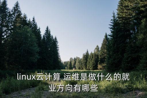 開源自動(dòng)化運(yùn)維平臺(tái)是什么公司,自動(dòng)化運(yùn)維ansible是什么