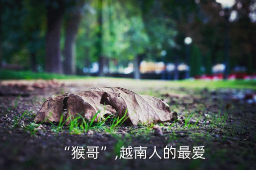猴哥來了,猴哥混進(jìn)山洞偷如意棒一路打出來