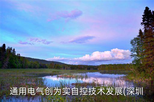 自動化電氣外包公司,電氣自控設(shè)計專業(yè)公司名單