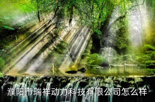 濮陽市瑞祥動(dòng)力科技有限公司怎么樣