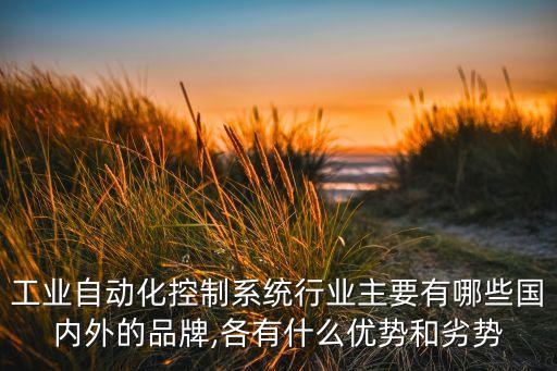 工業(yè)自動(dòng)化控制系統(tǒng)行業(yè)主要有哪些國(guó)內(nèi)外的品牌,各有什么優(yōu)勢(shì)和劣勢(shì)