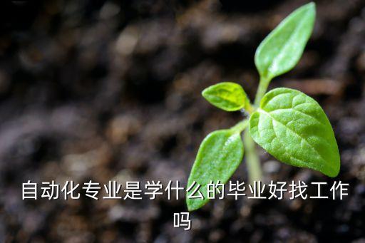  自動(dòng)化專(zhuān)業(yè)是學(xué)什么的畢業(yè)好找工作嗎