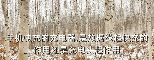 手機(jī)快充的充電器,是數(shù)據(jù)線起快充的作用還是充電頭起作用