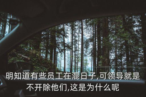 明知道有些員工在混日子,可領(lǐng)導(dǎo)就是不開除他們,這是為什么呢