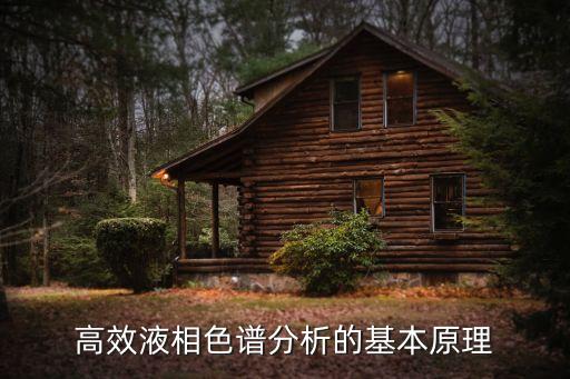 高效液相色譜分析的基本原理