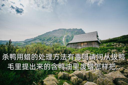 德國自動化殺鴨設(shè)備,怎么玩鵝鴨殺?
