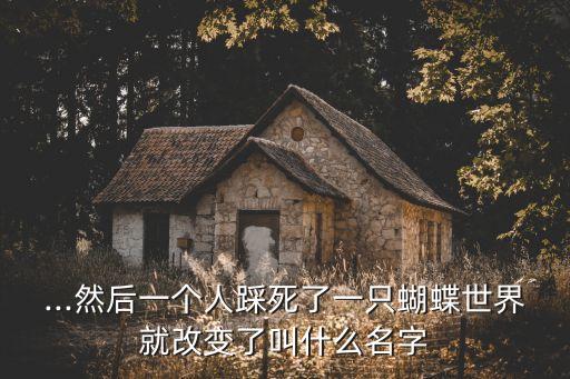 ...然后一個人踩死了一只蝴蝶世界就改變了叫什么名字