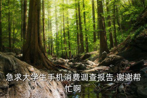 急求大學(xué)生手機(jī)消費(fèi)調(diào)查報(bào)告,謝謝幫忙啊