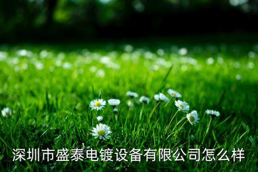 深圳市盛泰電鍍設(shè)備有限公司怎么樣