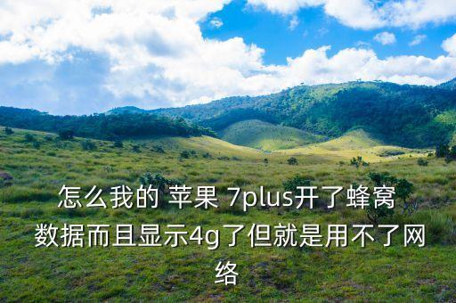 蘋果7plus移動數(shù)據(jù)
