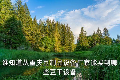 誰知道從重慶豆制品設(shè)備廠家能買到哪些豆干設(shè)備
