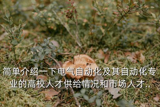 簡單介紹一下電氣自動化及其自動化專業(yè)的高校人才供給情況和市場人才...