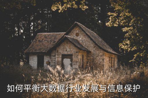 如何平衡大數(shù)據(jù)行業(yè)發(fā)展與信息保護