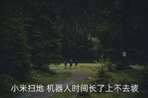 小米機(jī)器人故障