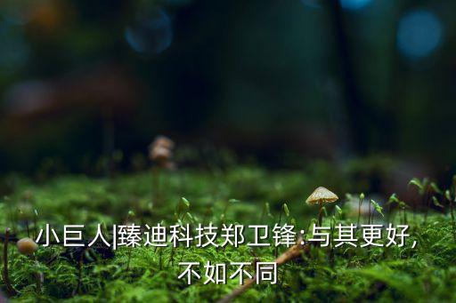 小巨人|臻迪科技鄭衛(wèi)鋒:與其更好,不如不同